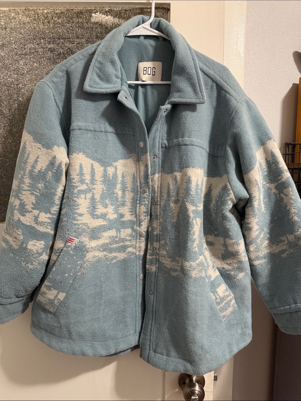 BDG Scenic Fleece Jacket in Blue and Cream